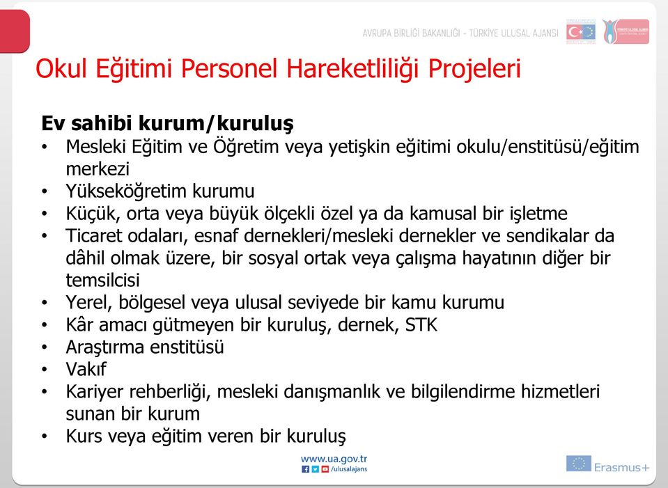 dâhil olmak üzere, bir sosyal ortak veya çalışma hayatının diğer bir temsilcisi Yerel, bölgesel veya ulusal seviyede bir kamu kurumu Kâr amacı gütmeyen bir