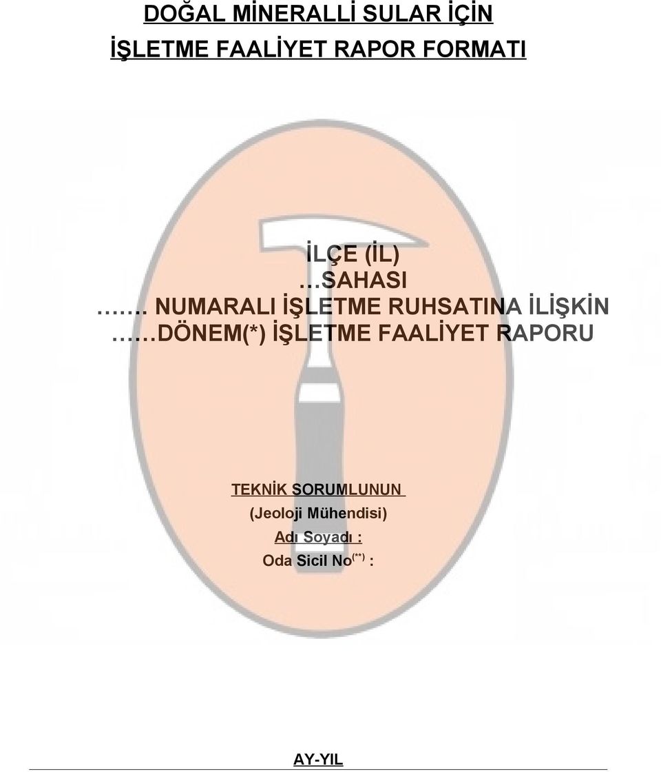 NUMARALI İŞLETME RUHSATINA İLİŞKİN DÖNEM(*) İŞLETME