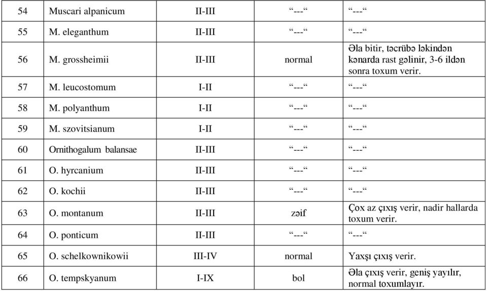 kochii II-III --- --- 63 O. montanum II-III zəif 64 O.