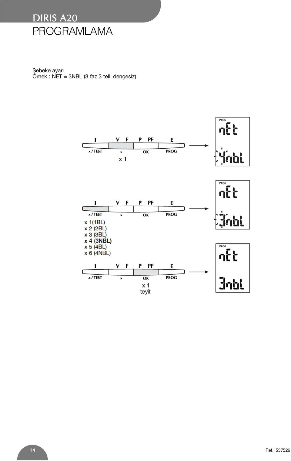 gelecek (1BL) x 2 (2BL) x 3 (3BL) x 4