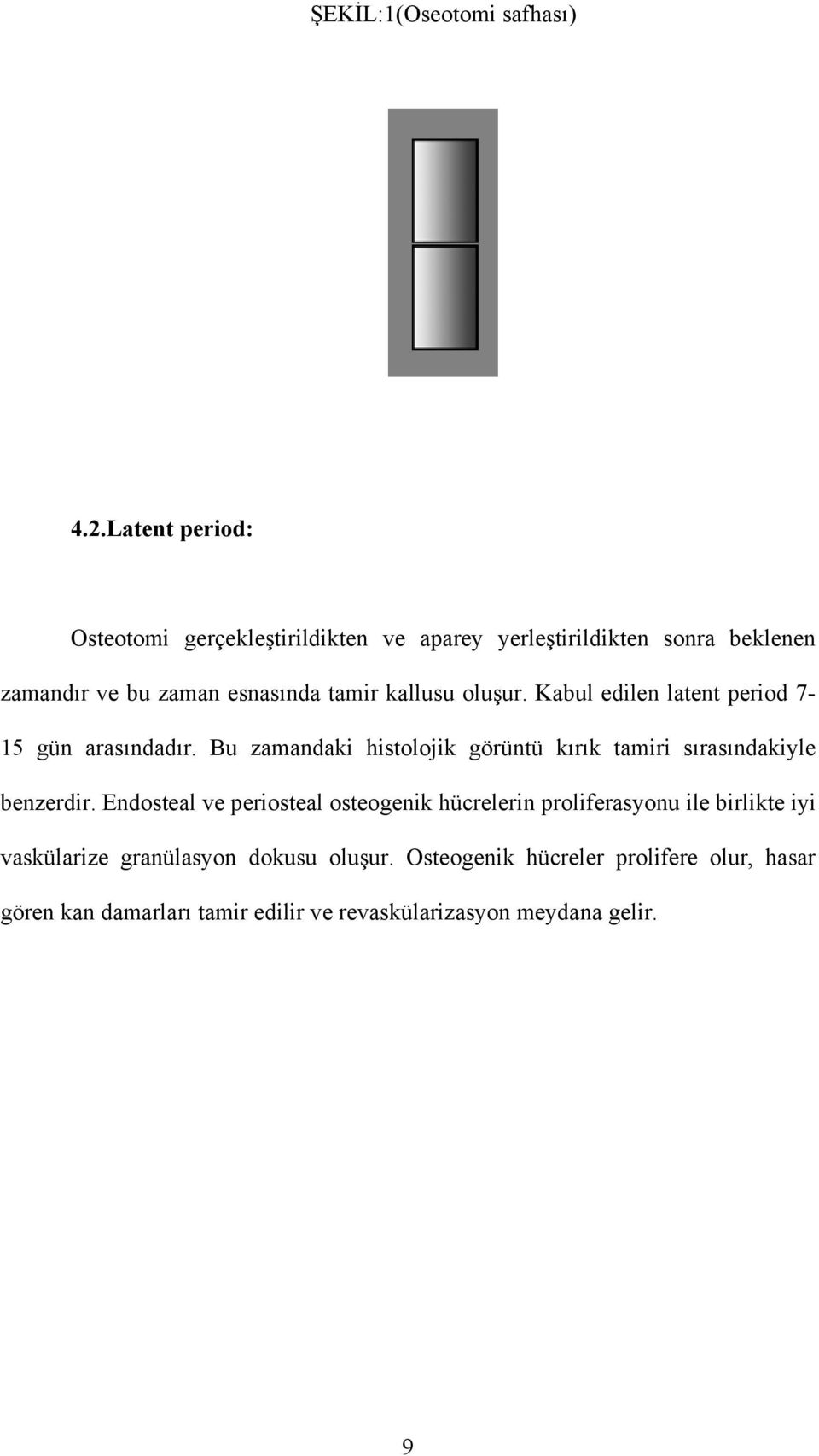 kallusu oluşur. Kabul edilen latent period 7-15 gün arasındadır.