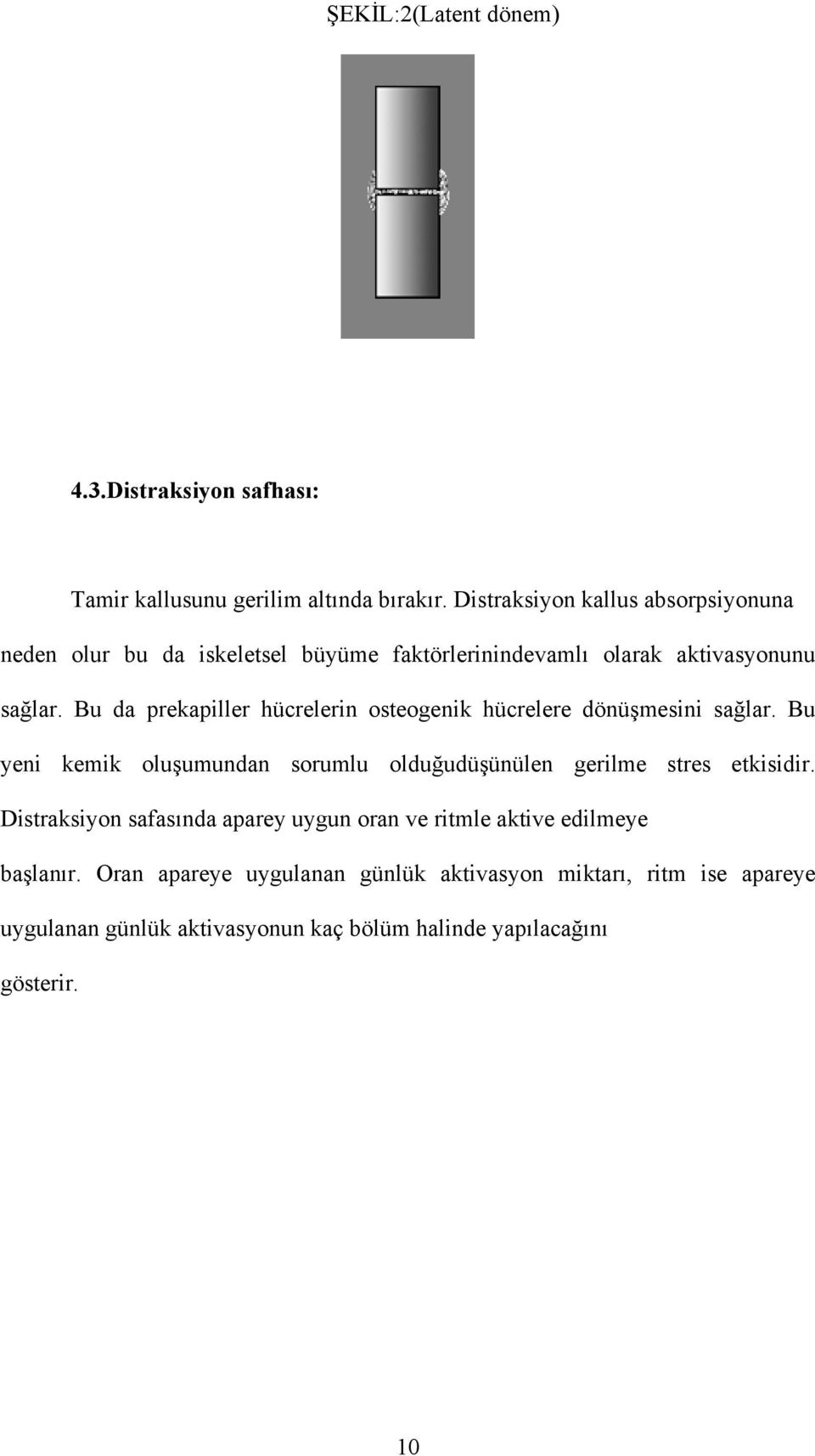 Bu da prekapiller hücrelerin osteogenik hücrelere dönüşmesini sağlar.