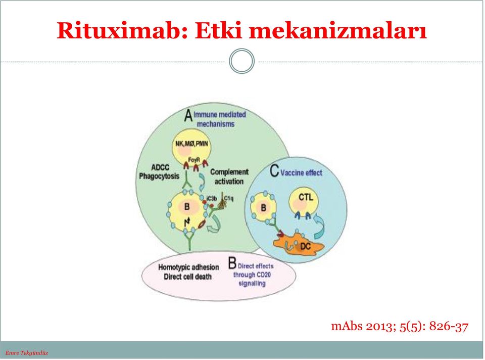 mabs 2013; 5(5):