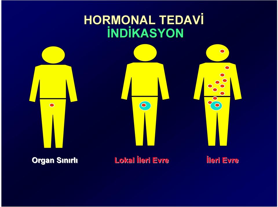 Sınırlı Lokal