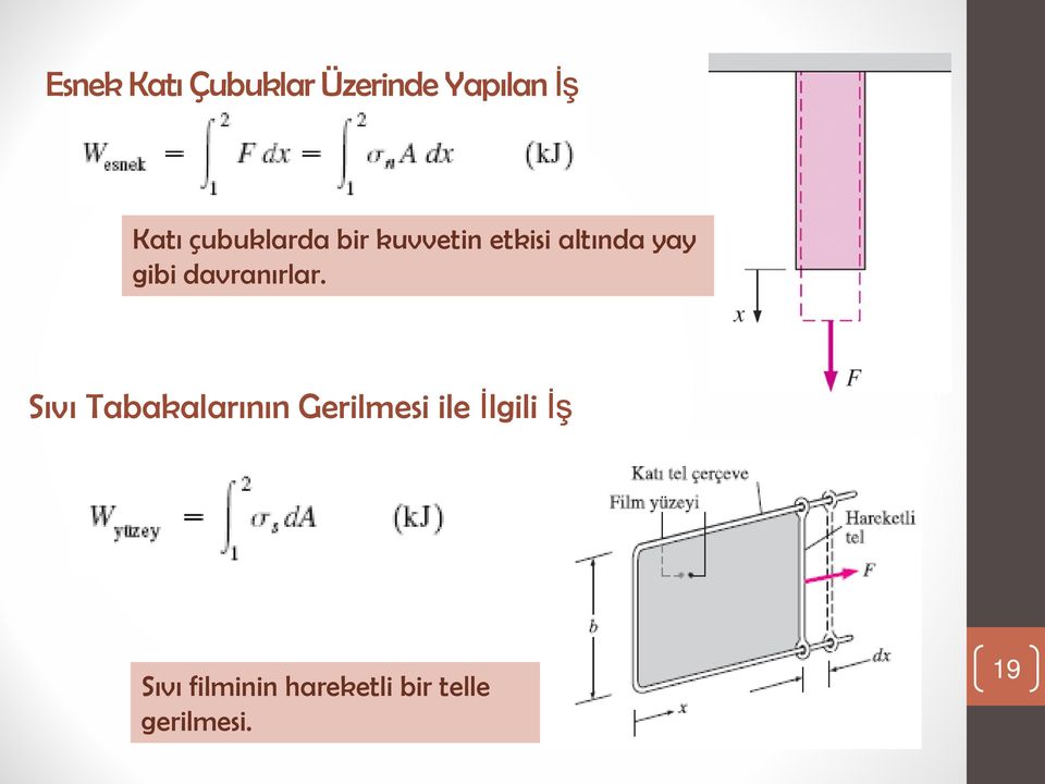 davranırlar.