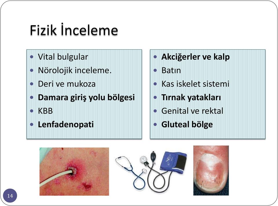 Lenfadenopati Akciğerler ve kalp Batın Kas iskelet