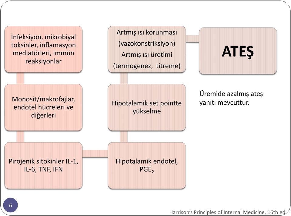 hücreleri ve diğerleri Hipotalamik set pointte yükselme Üremide azalmış ateş yanıtı mevcuttur.