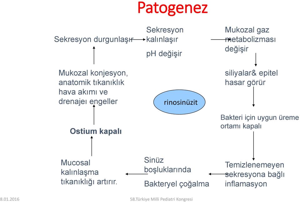 değişir siliyalar& epitel hasar görür Bakteri için uygun üreme ortamı kapalı Mucosal kalınlaşma