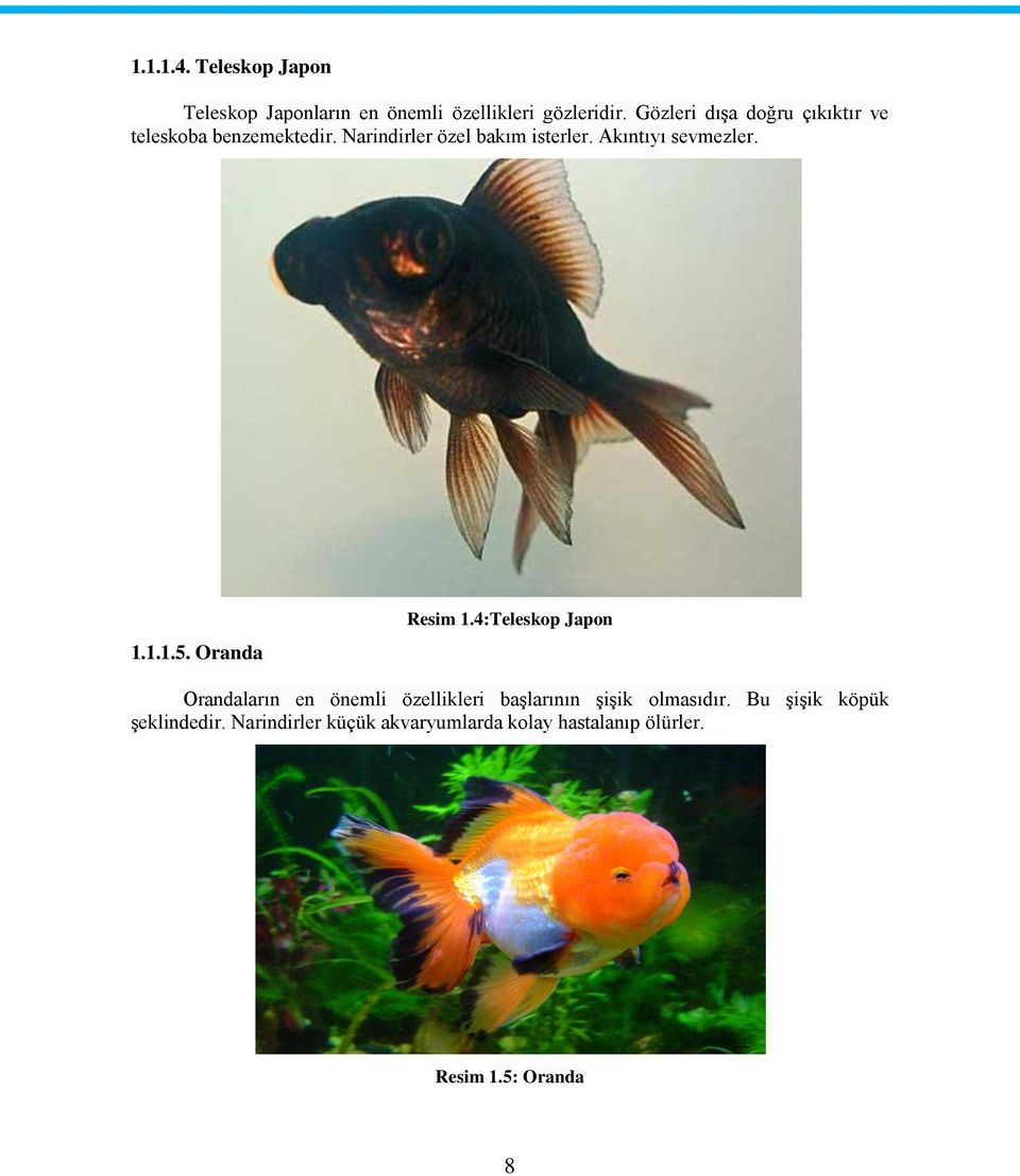 Akıntıyı sevmezler. 1.1.1.5. Oranda Resim 1.