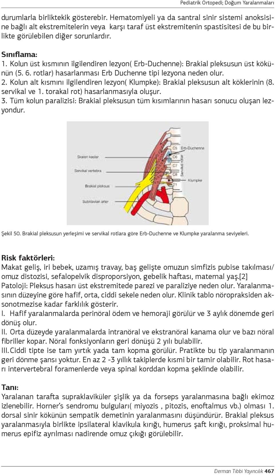 Kolun üst kısmının ilgilendiren lezyon( Erb-Duchenne): Brakial pleksusun üst kökünün (5. 6. rotlar) hasarlanması Erb Duchenne tipi lezyona neden olur. 2.