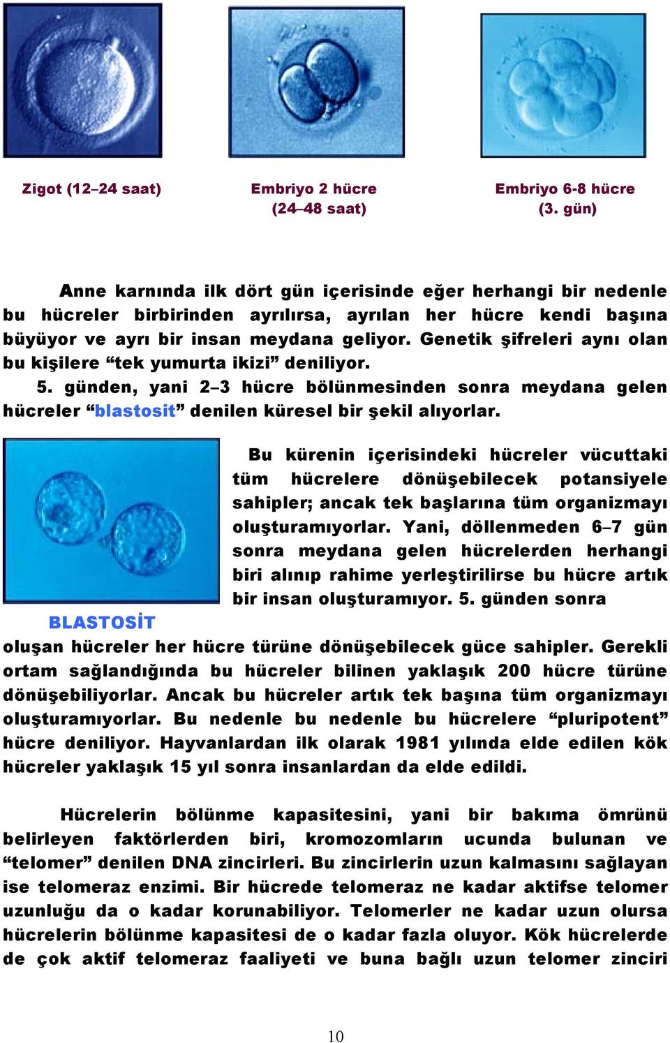 Genetik şifreleri aynı olan bu kişilere tek yumurta ikizi deniliyor. 5. günden, yani 2 3 hücre bölünmesinden sonra meydana gelen hücreler blastosit denilen küresel bir şekil alıyorlar.