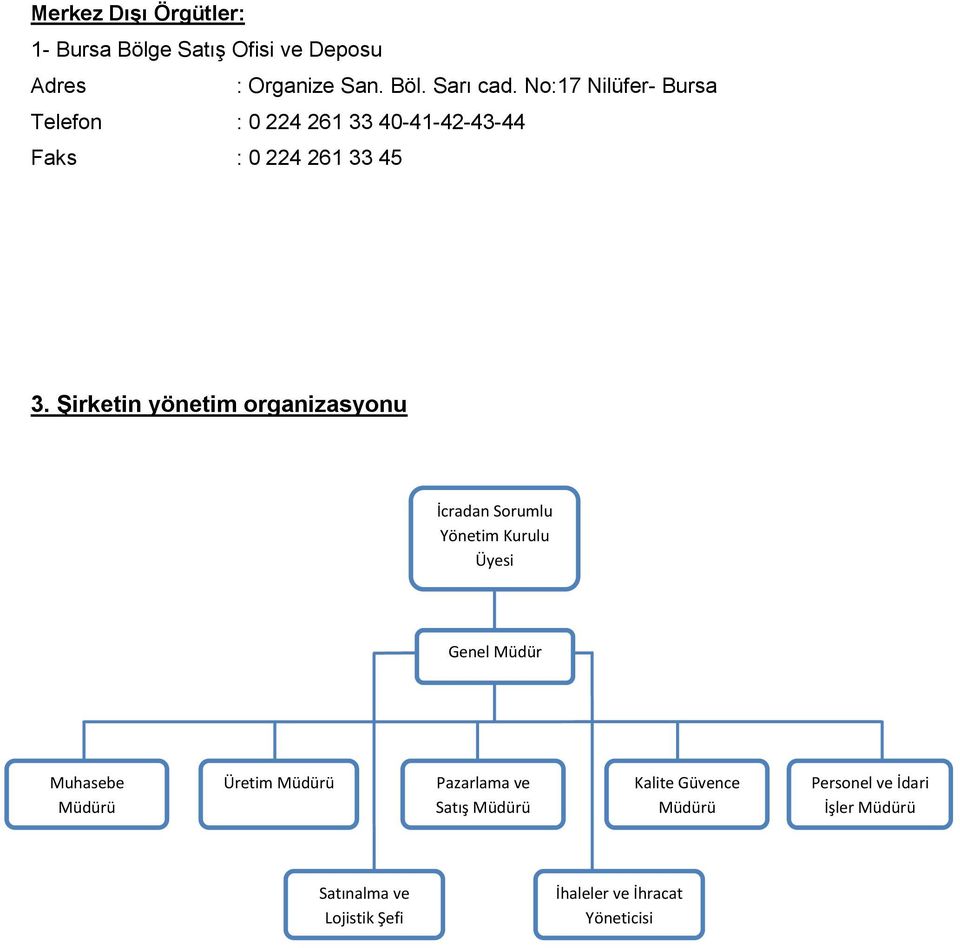 Şirketin yönetim organizasyonu İcradan Sorumlu Yönetim Kurulu Üyesi Genel Müdür Muhasebe Müdürü Üretim