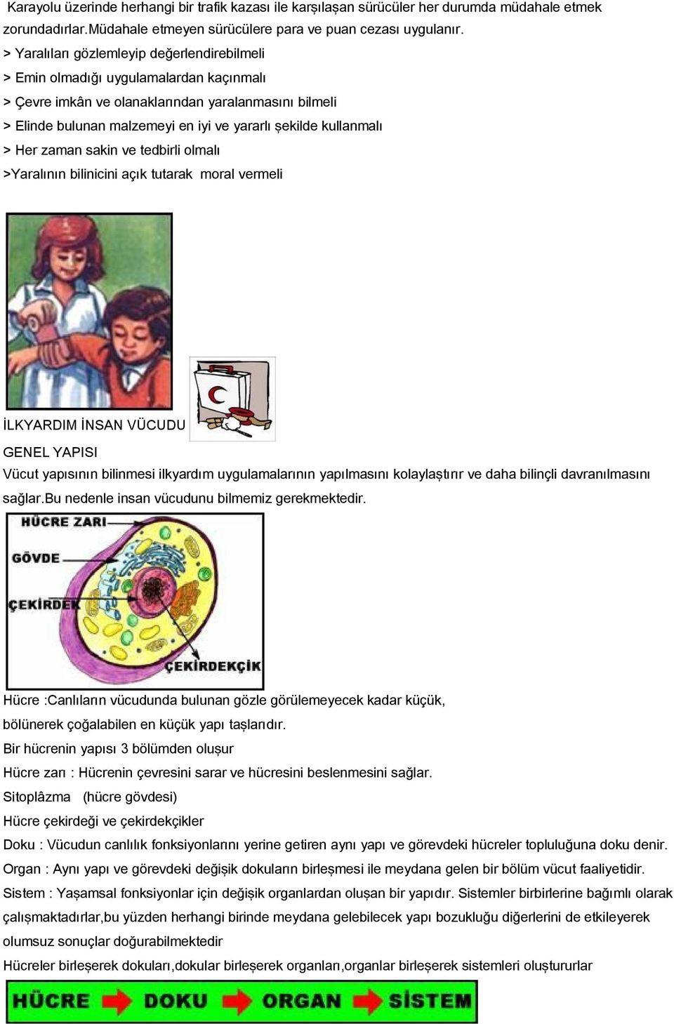 kullanmalı > Her zaman sakin ve tedbirli olmalı >Yaralının bilinicini açık tutarak moral vermeli İLKYARDIM İNSAN VÜCUDU GENEL YAPISI Vücut yapısının bilinmesi ilkyardım uygulamalarının yapılmasını