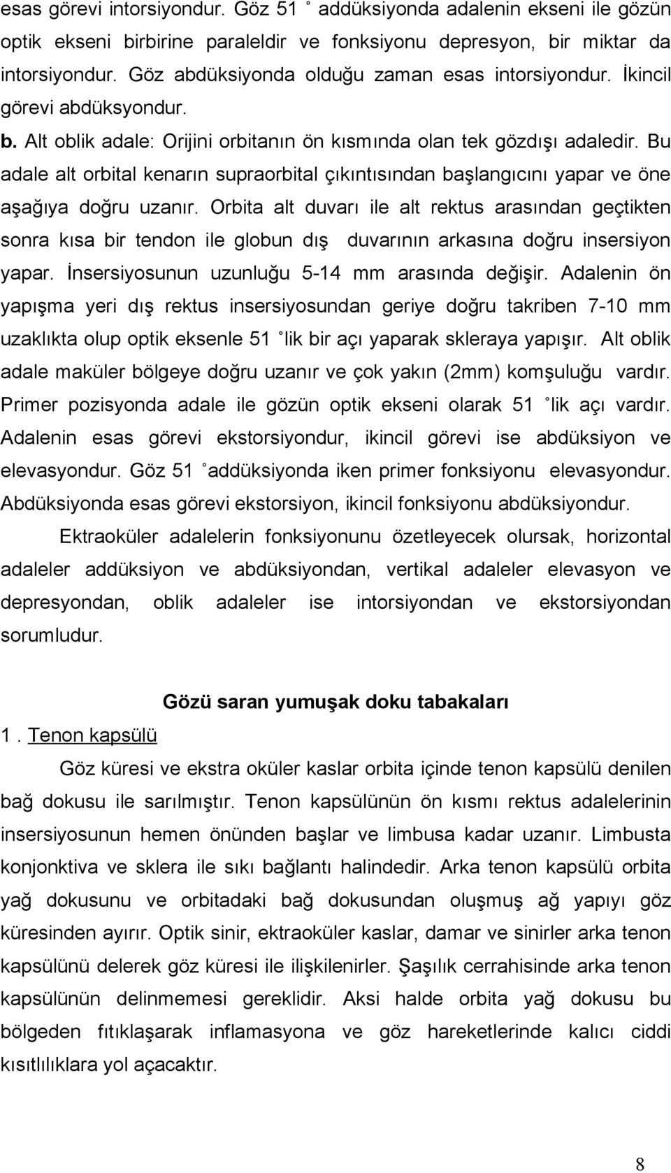 Bu adale alt orbital kenarın supraorbital çıkıntısından başlangıcını yapar ve öne aşağıya doğru uzanır.