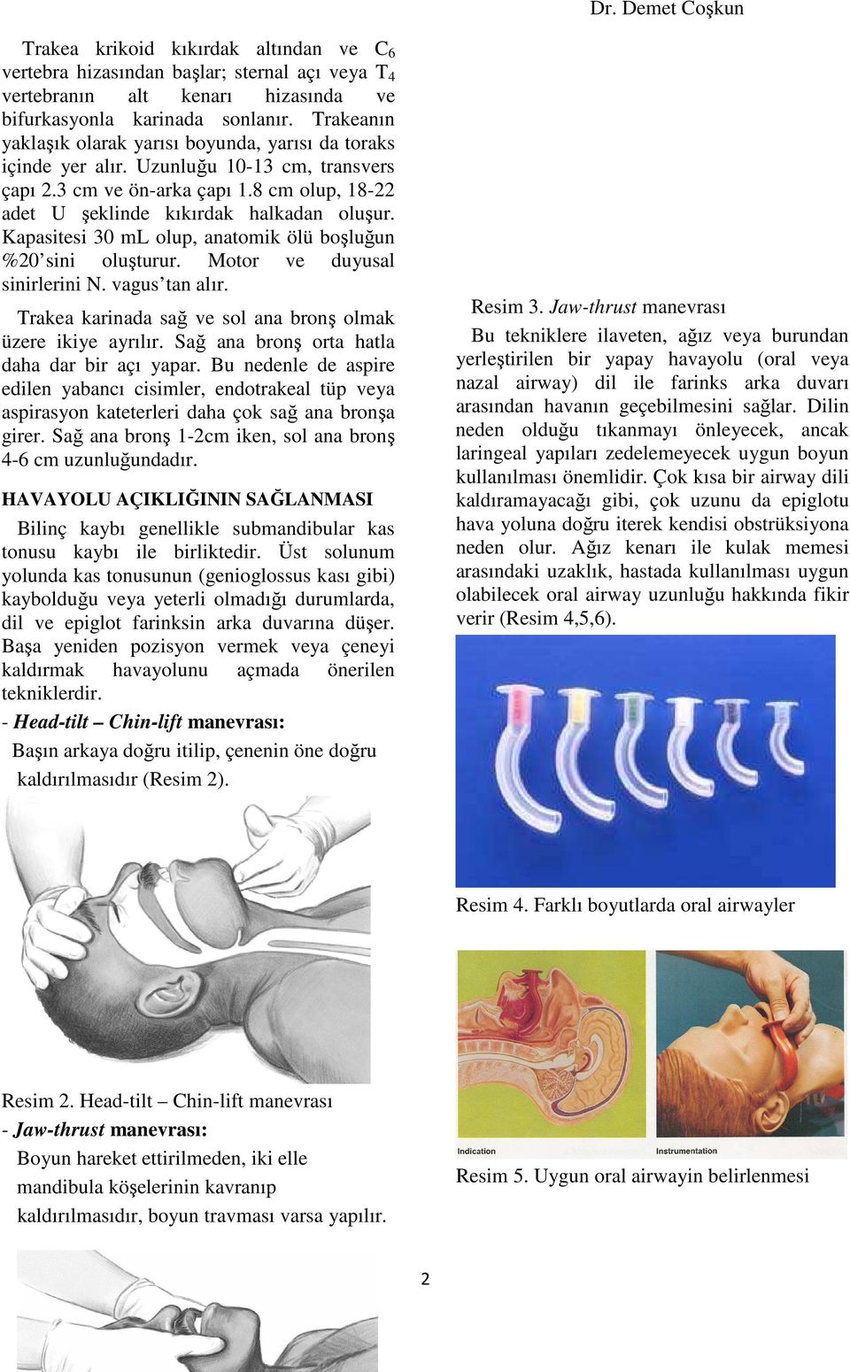 Kapasitesi 30 ml olup, anatomik ölü boşluğun %20 sini oluşturur. Motor ve duyusal sinirlerini N. vagus tan alır. Trakea karinada sağ ve sol ana bronş olmak üzere ikiye ayrılır.