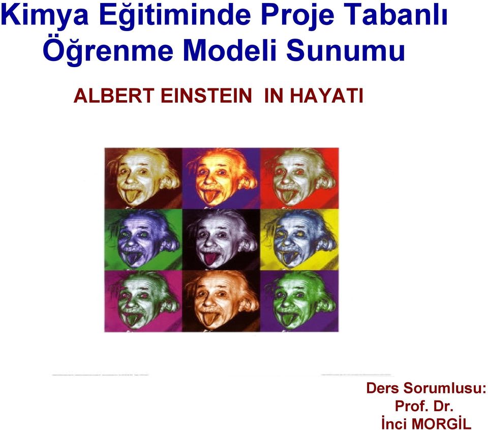 Sunumu ALBERT EINSTEIN IN