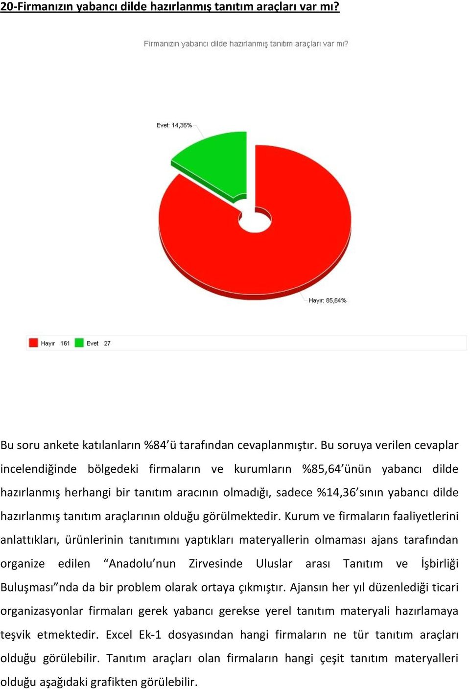 hazırlanmış tanıtım araçlarının olduğu görülmektedir.