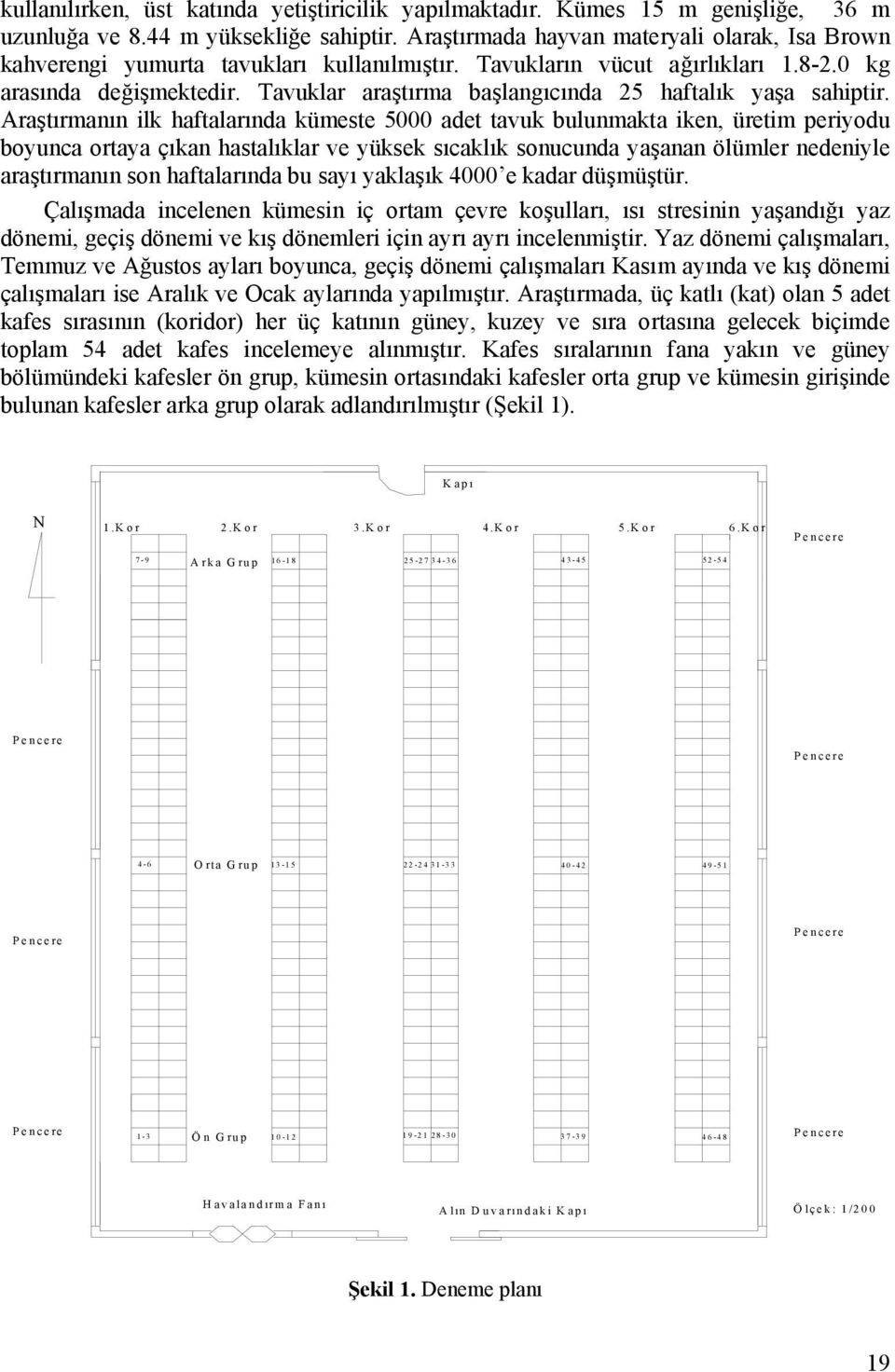 Tavuklar araştırma başlangıcında 25 haftalık yaşa sahiptir.