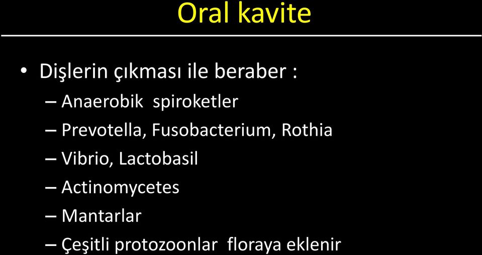 Fusobacterium, Rothia Vibrio, Lactobasil