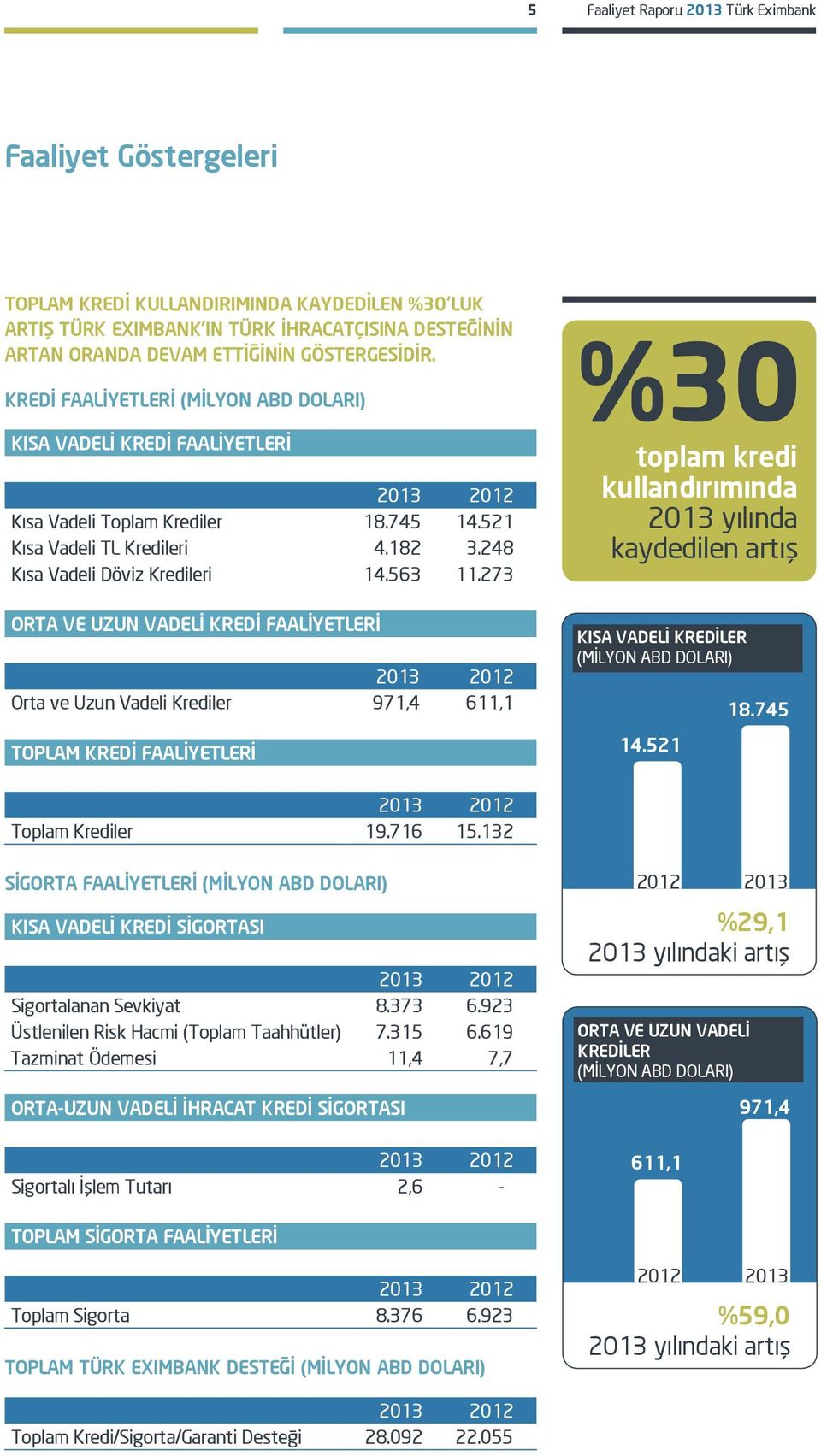 248 Kısa Vadeli Döviz Kredileri 14.563 11.