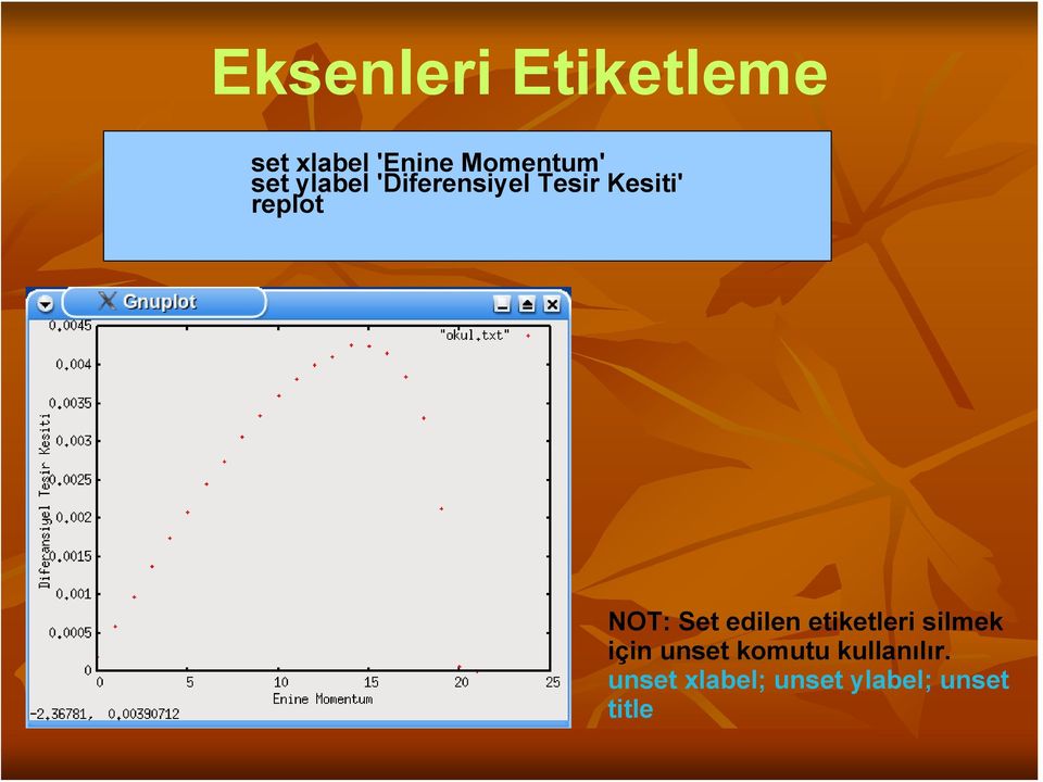 NOT: Set edilen etiketleri silmek için unset