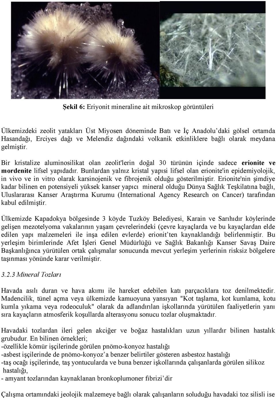 Bunlardan yalnız kristal yapısi lifsel olan erionite'in epidemiyolojik, in vivo ve in vitro olarak karsinojenik ve fibrojenik olduğu gösterilmiştir.