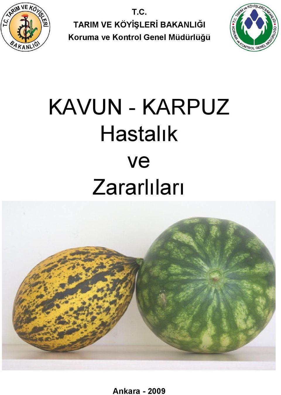 Genel Müdürlüğü KAVUN -