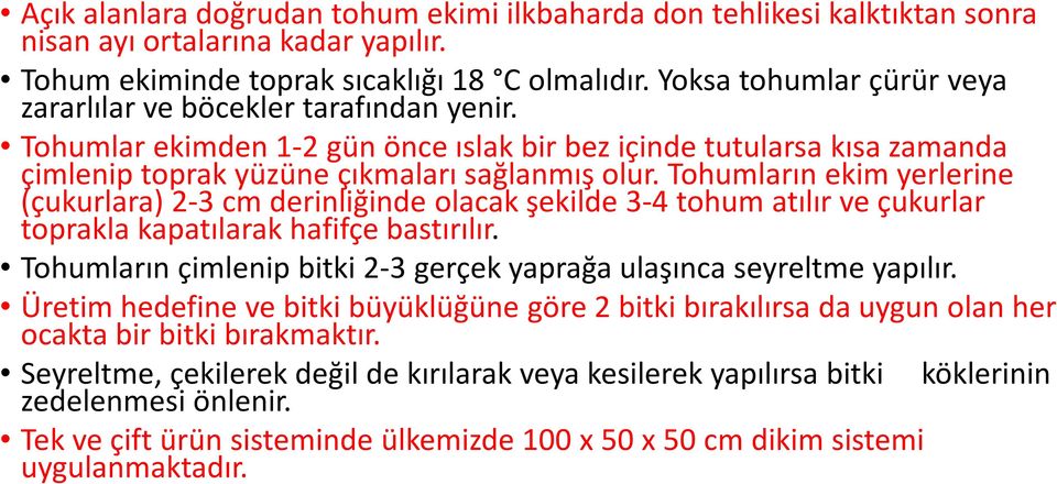 Tohumların ekim yerlerine (çukurlara) 2-3 cm derinliğinde olacak şekilde 3-4 tohum atılır ve çukurlar toprakla kapatılarak hafifçe bastırılır.