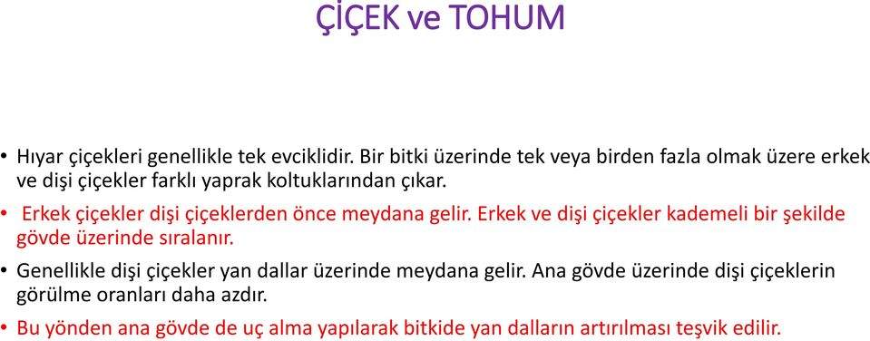 Erkek çiçekler dişi çiçeklerden önce meydana gelir. Erkek ve dişi çiçekler kademeli bir şekilde gövde üzerinde sıralanır.