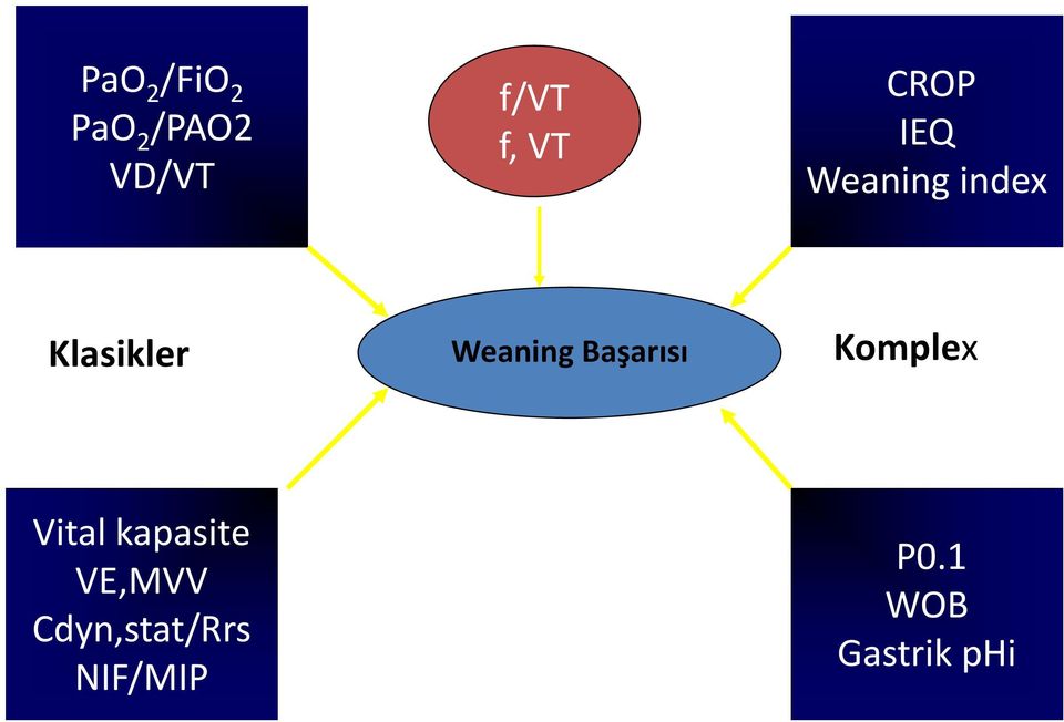 Weaning Başarısı Komplex Vital kapasite