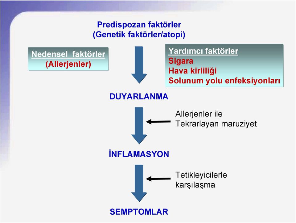 kirliliği Solunum yolu enfeksiyonları DUYARLANMA Allerjenler