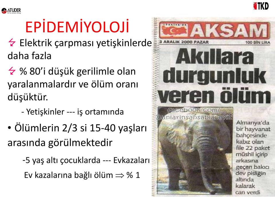 - Yetişkinler --- iş ortamında Ölümlerin 2/3 si 15-40 yaşları