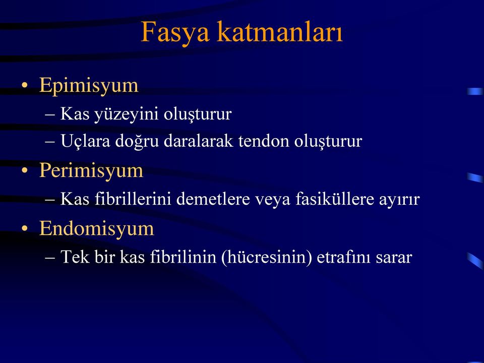 Kas fibrillerini demetlere veya fasiküllere ayırır