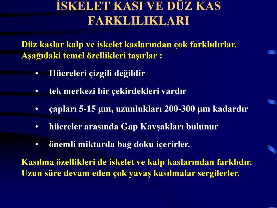 5-15 mm, uzunlukları 200-300 mm kadardır hücreler arasında Gap Kavşakları bulunur önemli miktarda bağ doku