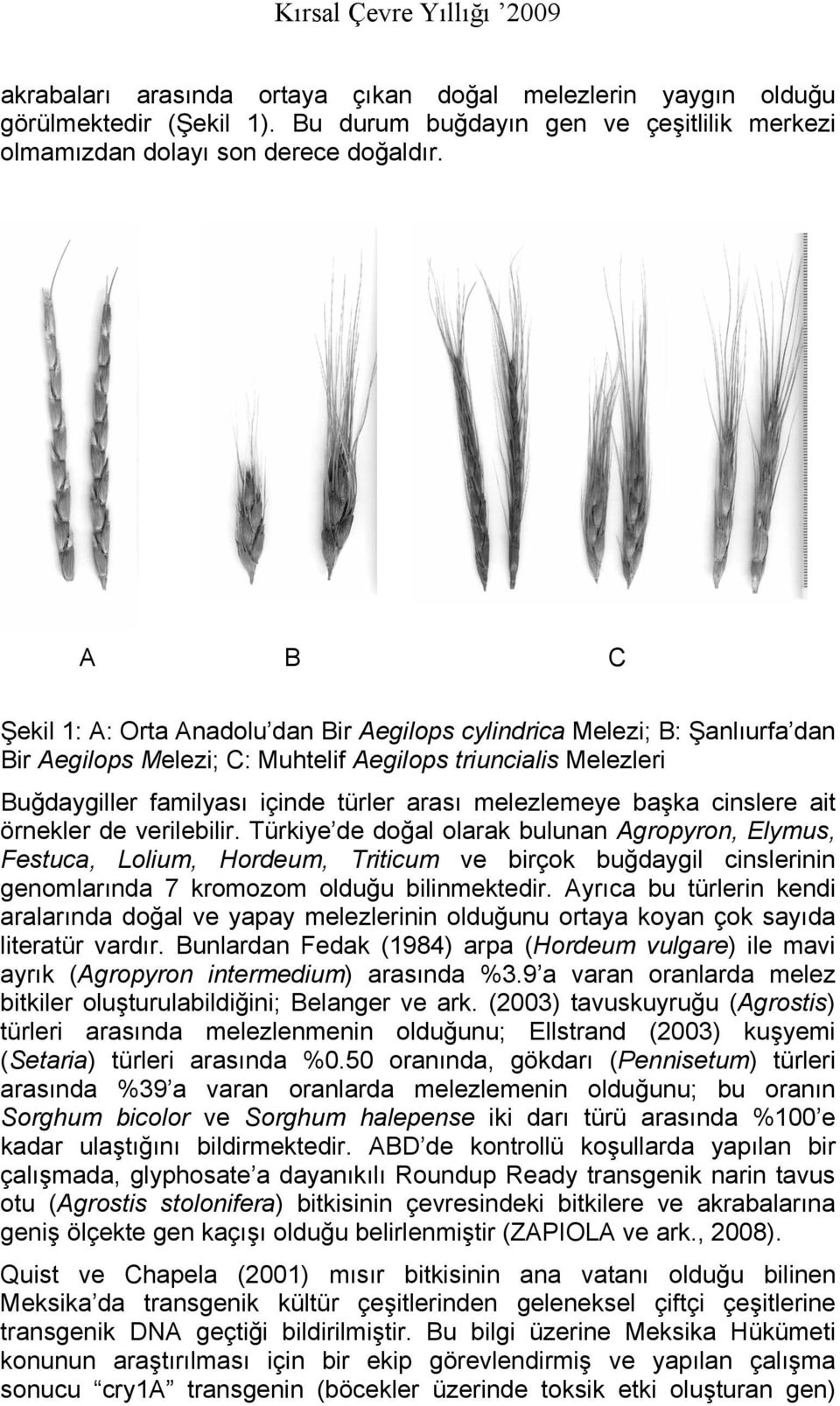 melezlemeye başka cinslere ait örnekler de verilebilir.