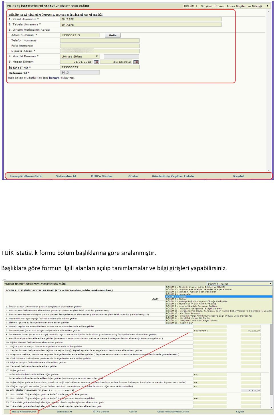 Başlıklara göre formun ilgili alanları