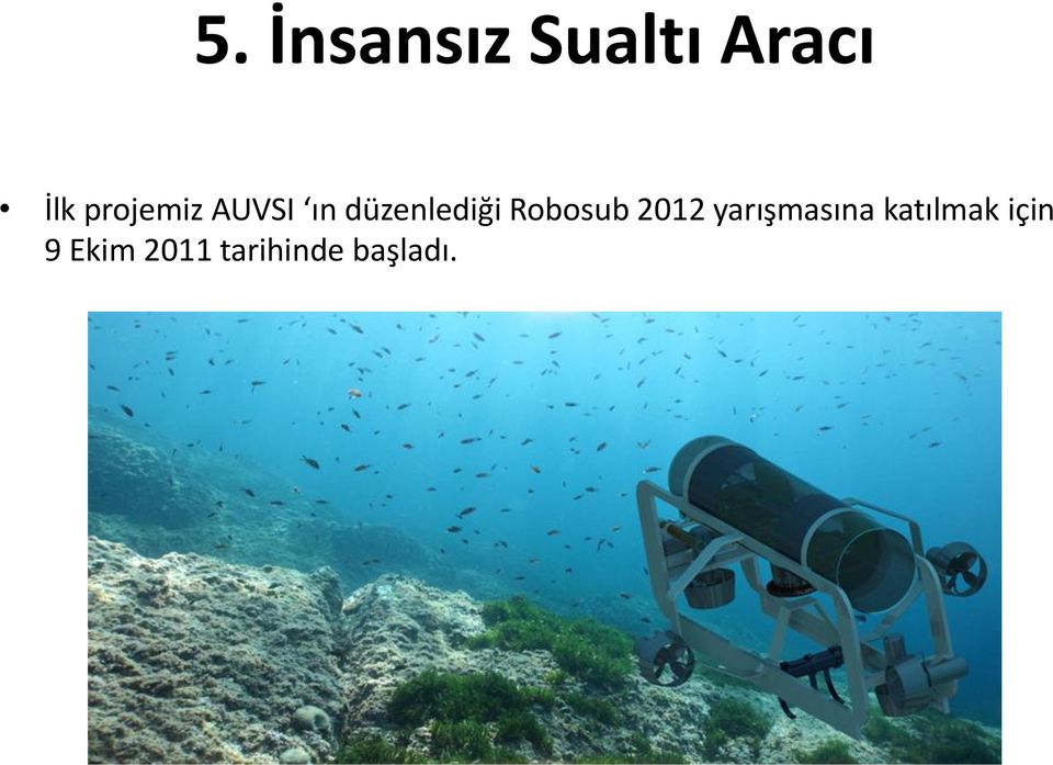 Robosub 2012 yarışmasına