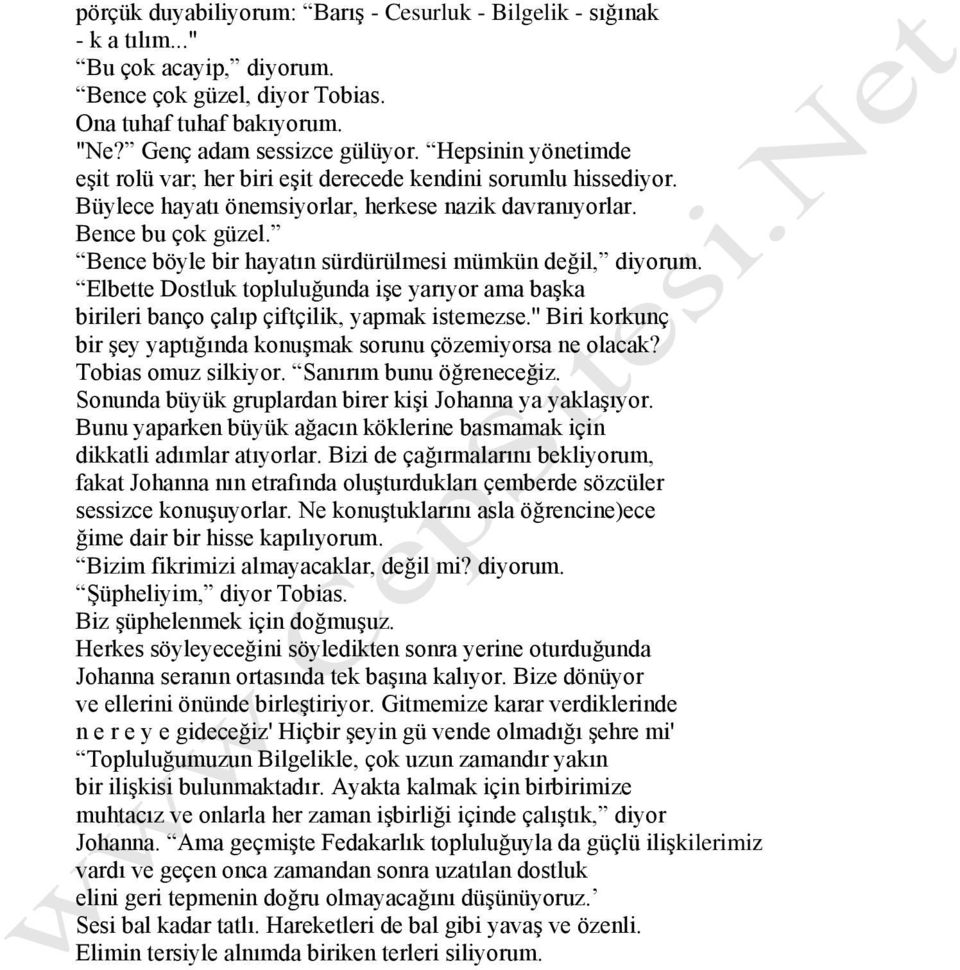 Bence böyle bir hayatın sürdürülmesi mümkün değil, diyorum. Elbette Dostluk topluluğunda işe yarıyor ama başka birileri banço çalıp çiftçilik, yapmak istemezse.