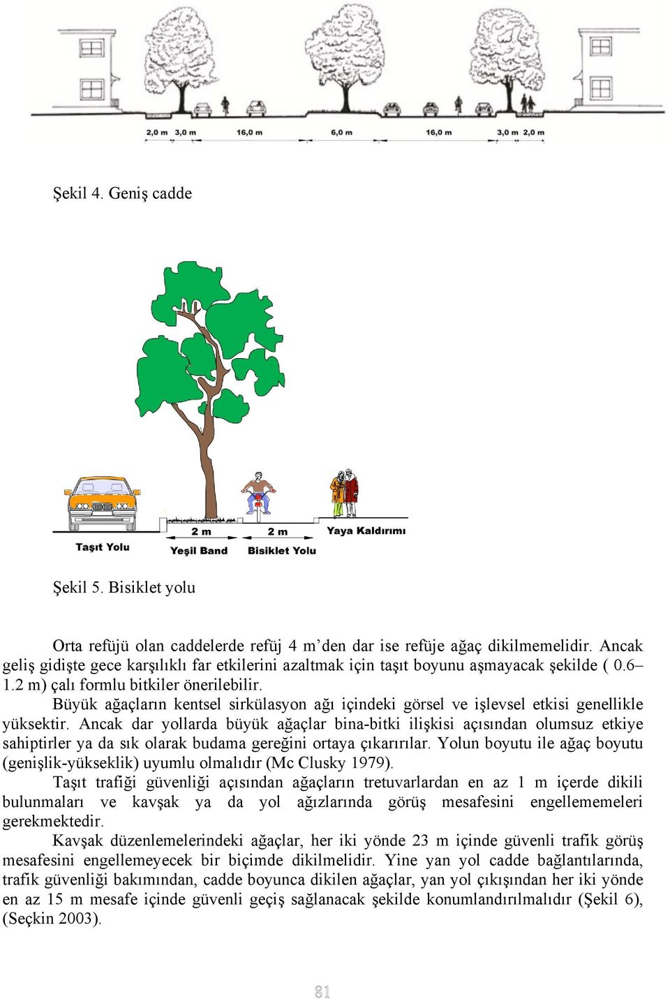 Büyük ağaçların kentsel sirkülasyon ağı içindeki görsel ve işlevsel etkisi genellikle yüksektir.