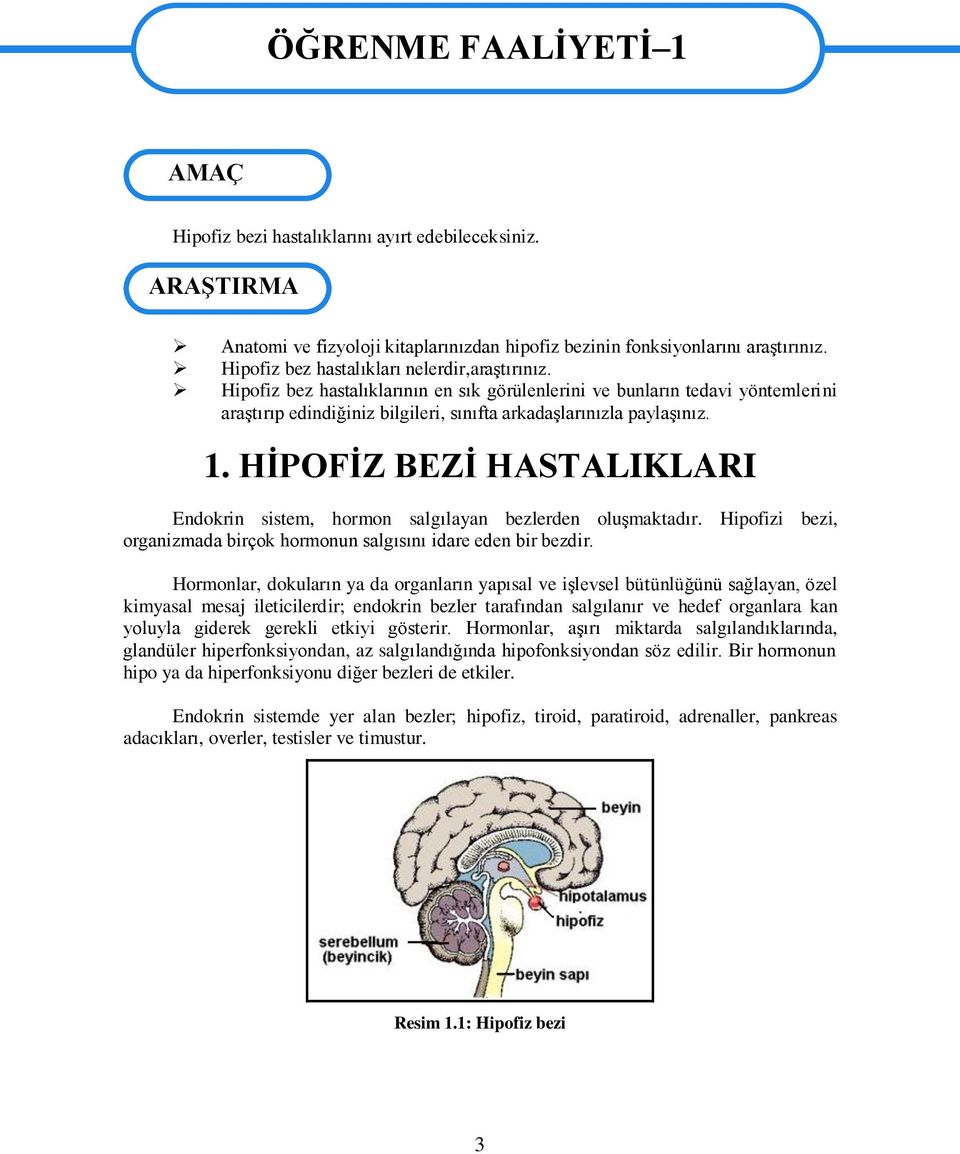 HĠPOFĠZ BEZĠ HASTALIKLARI Endokrin sistem, hormon salgılayan bezlerden oluģmaktadır. Hipofizi bezi, organizmada birçok hormonun salgısını idare eden bir bezdir.