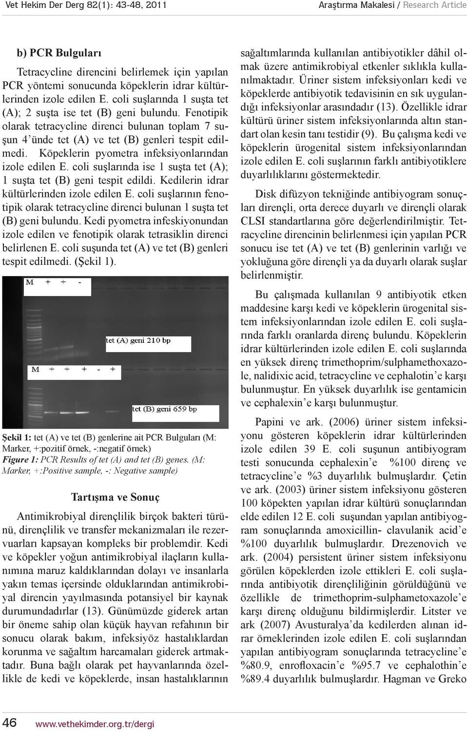 coli suşlarında ise 1 suşta tet (A); 1 suşta tet (B) geni tespit edildi. Kedilerin idrar kültürlerinden izole edilen E.