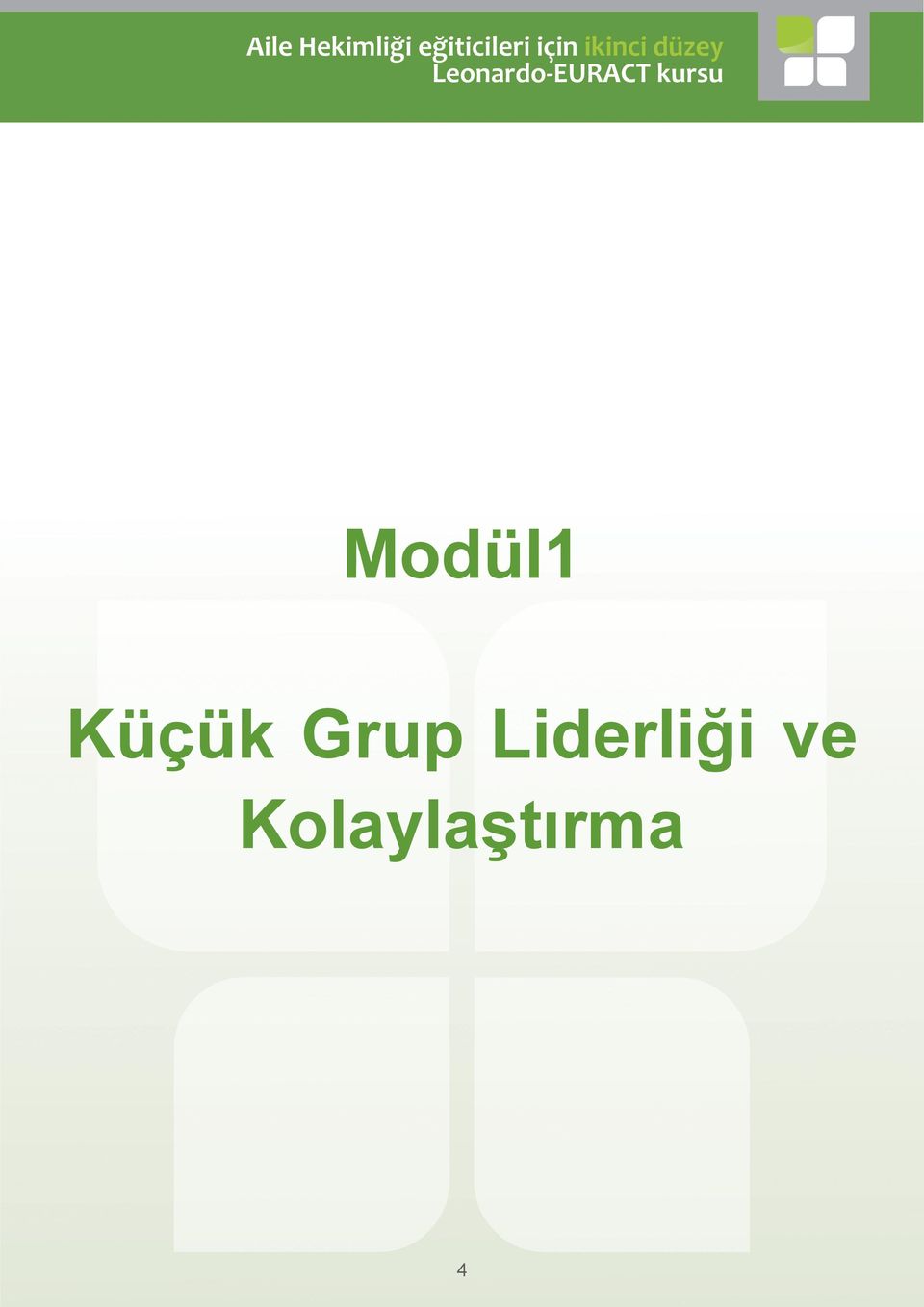 Liderliği