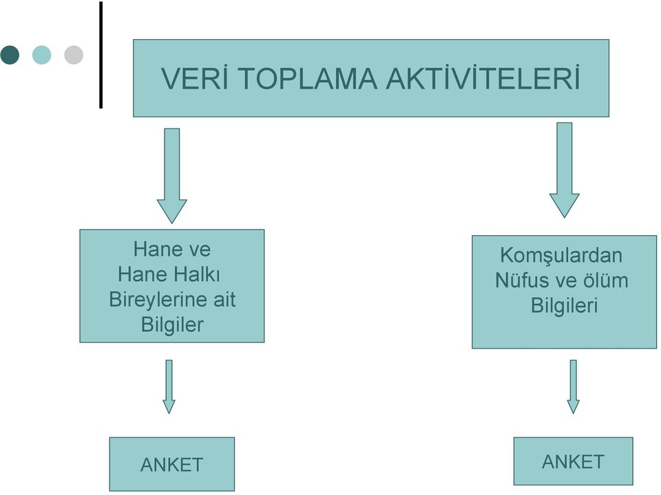 Bireylerine ait Bilgiler