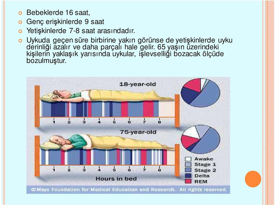 Uykuda geçen süre birbirine yakın görünse de yetişkinlerde uyku