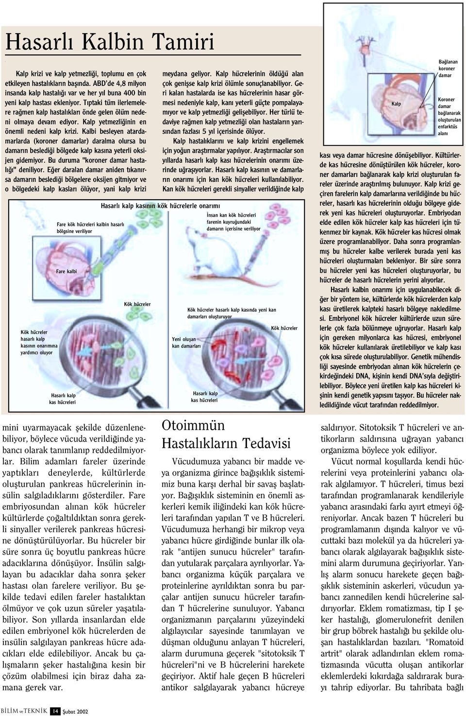 Kalbi besleyen atardamarlarda (koroner damarlar) daralma olursa bu damar n besledi i bölgede kalp kas na yeterli oksijen gidemiyor. Bu duruma "koroner damar hastal " deniliyor.