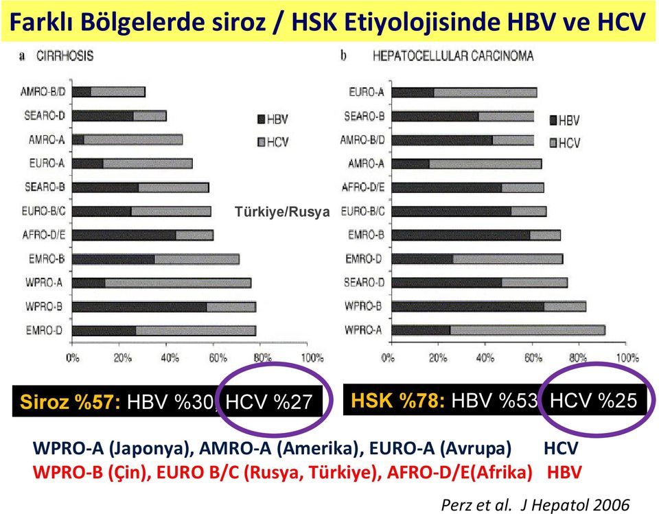 %25 WPRO-A (Japonya), AMRO-A (Amerika), EURO-A (Avrupa) HCV WPRO-B