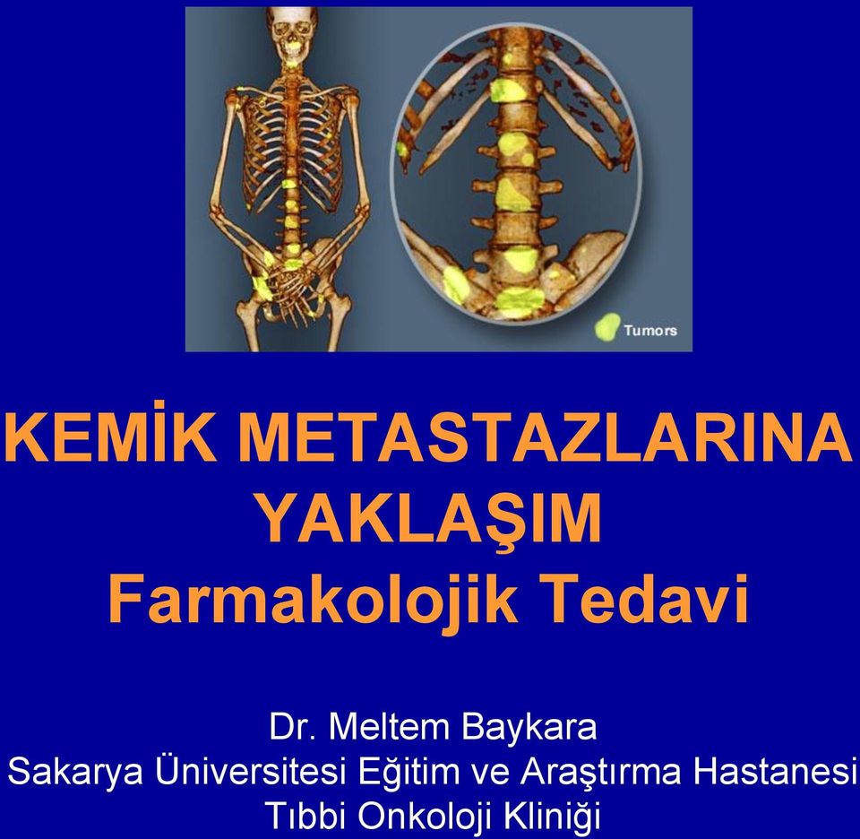 Meltem Baykara Sakarya Üniversitesi