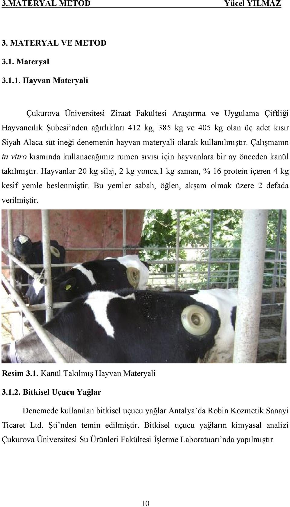 1. Hayvan Materyali Çukurova Üniversitesi Ziraat Fakültesi Araştırma ve Uygulama Çiftliği Hayvancılık Şubesi nden ağırlıkları 412 kg, 385 kg ve 405 kg olan üç adet kısır Siyah Alaca süt ineği