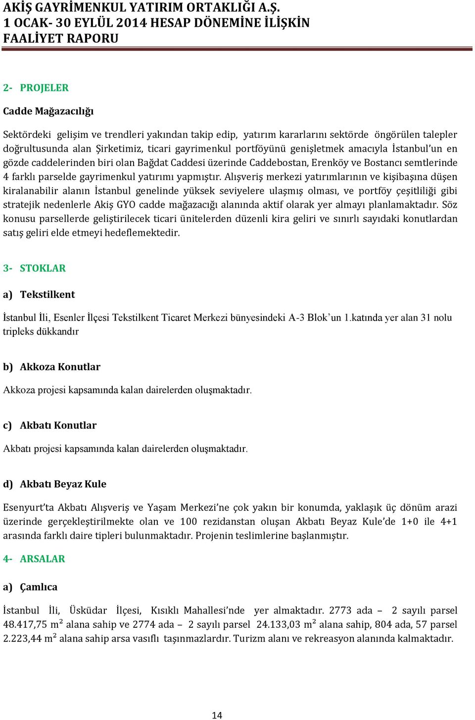 Alışveriş merkezi yatırımlarının ve kişibaşına düşen kiralanabilir alanın İstanbul genelinde yüksek seviyelere ulaşmış olması, ve portföy çeşitliliği gibi stratejik nedenlerle Akiş GYO cadde