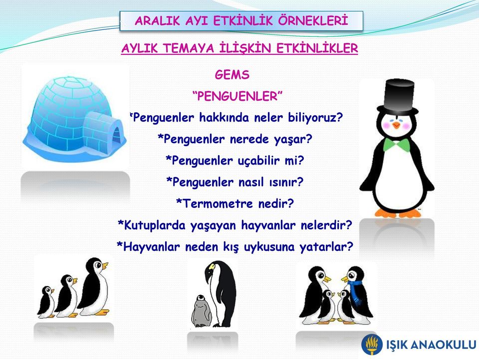 *Penguenler nerede yaşar? *Penguenler uçabilir mi?